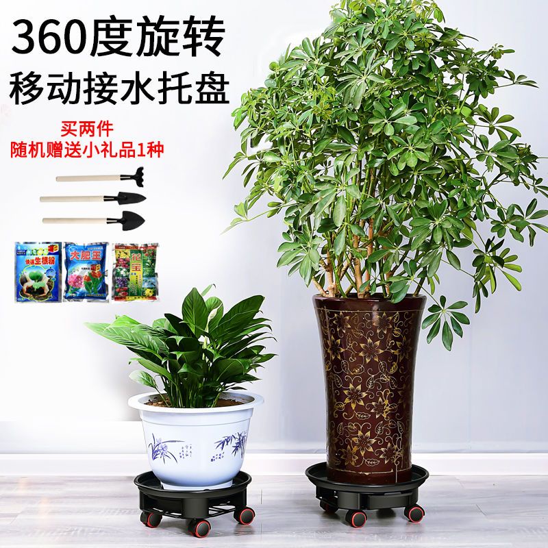 Khuyến Mãi Đốm #Giá Đỡ Chậu Hoa Dày Dặn Có Bánh Xe Nối Với Khay Di Động Thân Thiện Với Môi Trường Khay Nước Torus