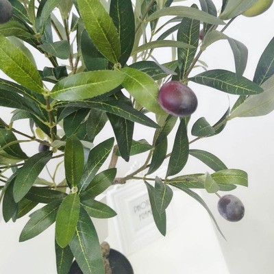 Cây oliu-cây olive giả cao 85cm