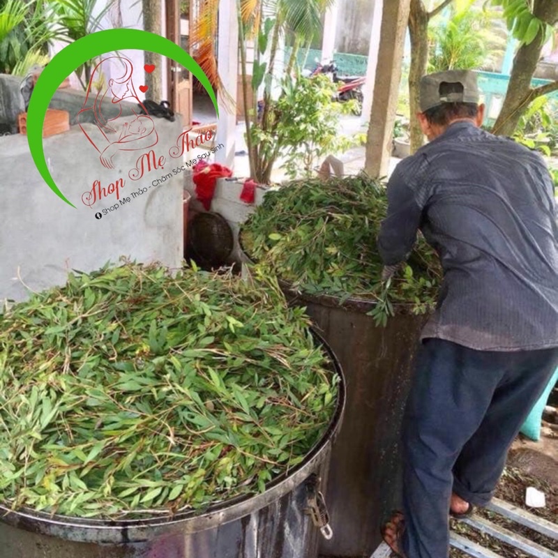 TINH DẦU TRÀM GIÓ 100% NGUYÊN CHẤT (HANDMADE)