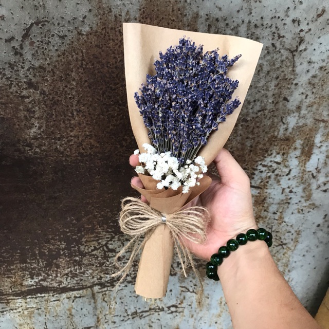 Hoa oải hương lavendin giá tốt tại HCM - 2