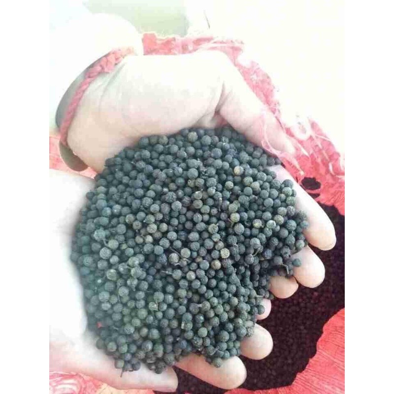 Hạt TIÊU RỪNG măng đen Kon Tum 1ky