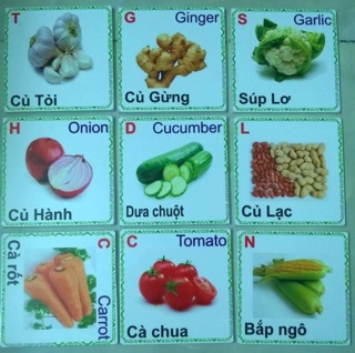combo thẻ flash card