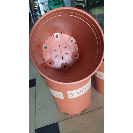 combo 2 chậu MONROVIA 2GL trồng hoa hồng đường kính 22cm