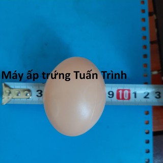 10 Trứng gà giả