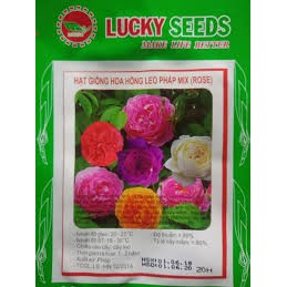 HẠT GIỐNG HOA HỒNG LEO PHÁP LUCKY SEEDS GÓI 20 HẠT