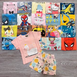 Com bo 8 bộ cotton hàn đùi