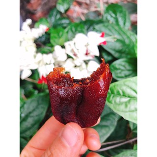 Hồng Sấy Gió Hosagi