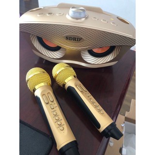 Loa Bluetooth karaoke kèm 2 míc SDRD-306