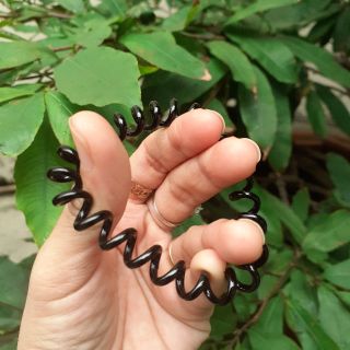 Sỉ 50 Lò xo cột tóc đen (cở 2-3cm)