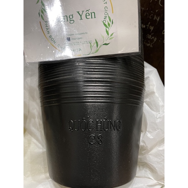 100 chậu nhựa đen c8