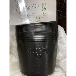 100 chậu nhựa đen c8