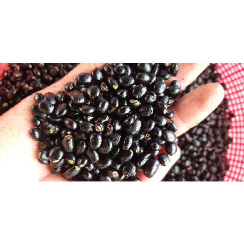 hạt mai giảo 100g