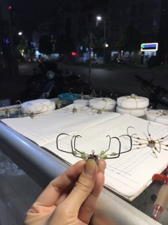 Mèo 10 - tứ - lục ( Lưỡi câu lục giá rẻ)