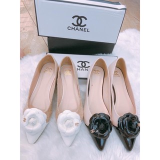 Sale off búp bê mũi nhọn hoa trà