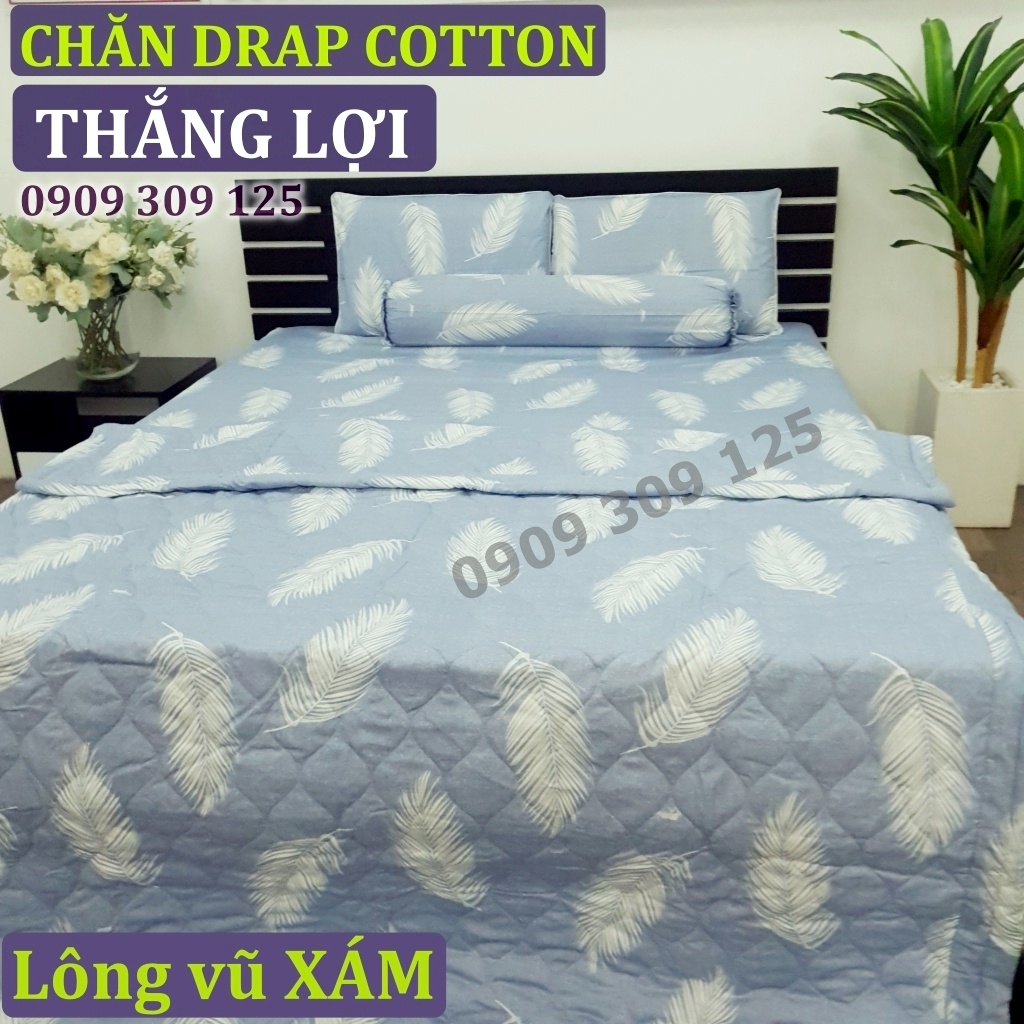 (RẺ VÔ ĐỊCH) bộ drap cotton Thắng lợi (ảnh thật) LÔNG VŨ XÁM | BigBuy360 - bigbuy360.vn