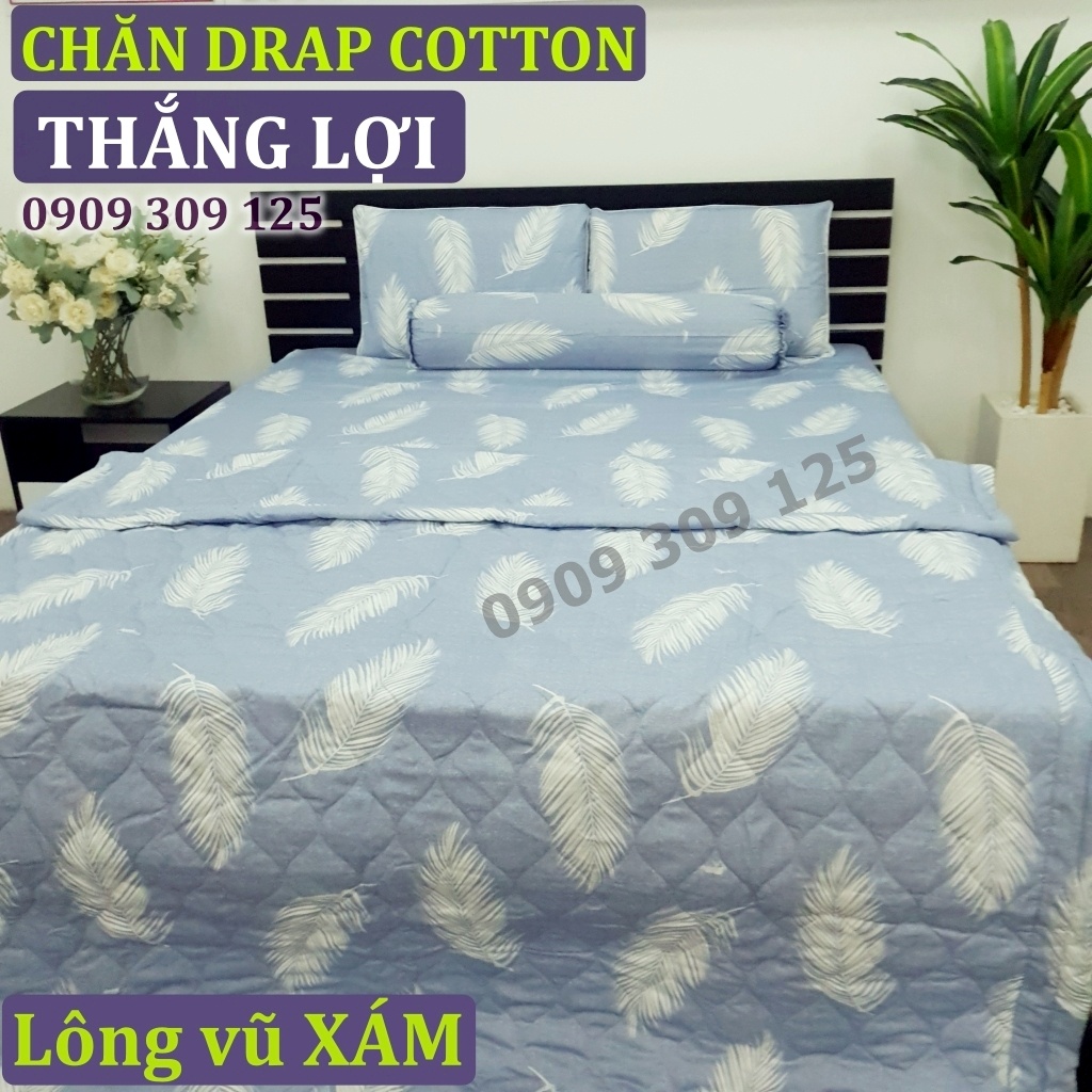 (RẺ VÔ ĐỊCH) bộ drap cotton Thắng Lợi, ga giường (ảnh thật) LÔNG VŨ XÁM