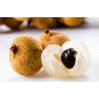 cây nhãn siêu ngọt Hưng Yên