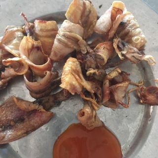 25 con MỰC câu mini