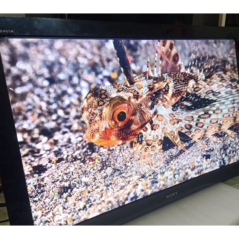 Tivi Sony 40" Đầy Đủ Phụ Kiện Thanh Lý.