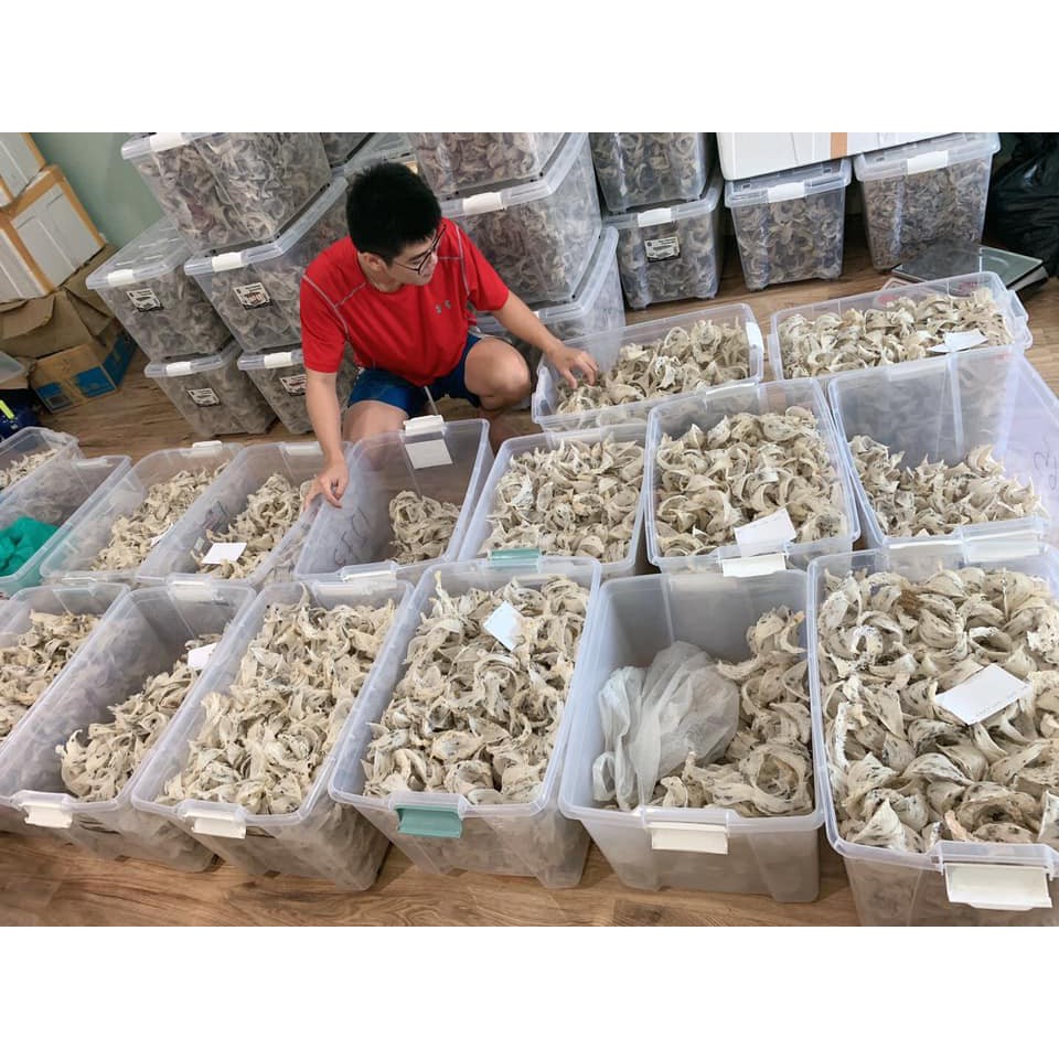 [Mã SKAMSALE8 giảm 10% đơn 200K] Yến sào Nha Trang_tổ yến vụn 50g (5-7 tổ) 100g(10-14 tổ) 🎁 | BigBuy360 - bigbuy360.vn