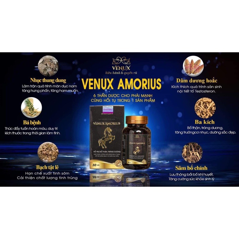 Viên uống VENUX AMORIUS sản phẩm dành cho quý anh