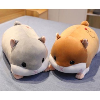 Gấu bông chuột hamster, chuột bông cute