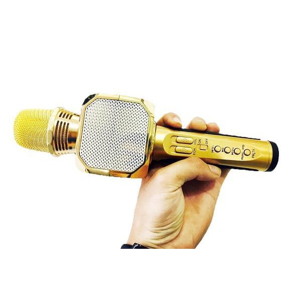 Micro kèm loa Bluetooth Karaoke SD-10