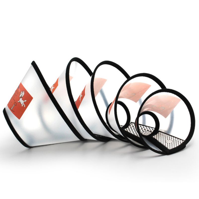 Loa Chống Liếm Cho Chó Mèo