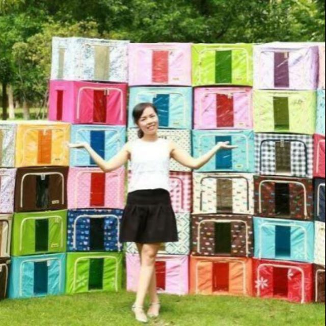 Hộp đựng đồ living box 66 lít,