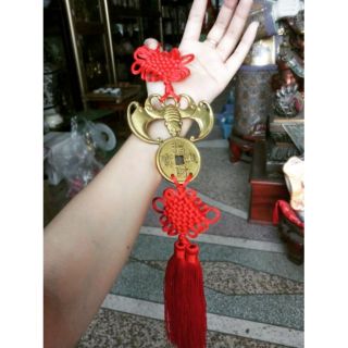 Dơi ngậm tiền phúc tinh dài 10cm.