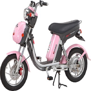 Xe đạp điện Nijia Dibao