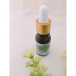 Hàng mới Tinh dầu xông phòng hương Sả Java nguyên chất lọ 10ml