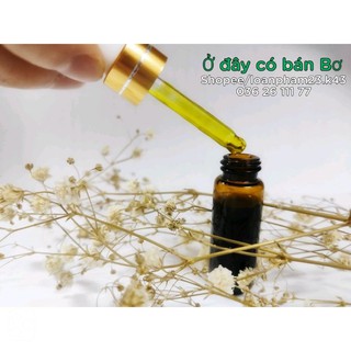 Dầu quả bơ nguyên chất 10ml