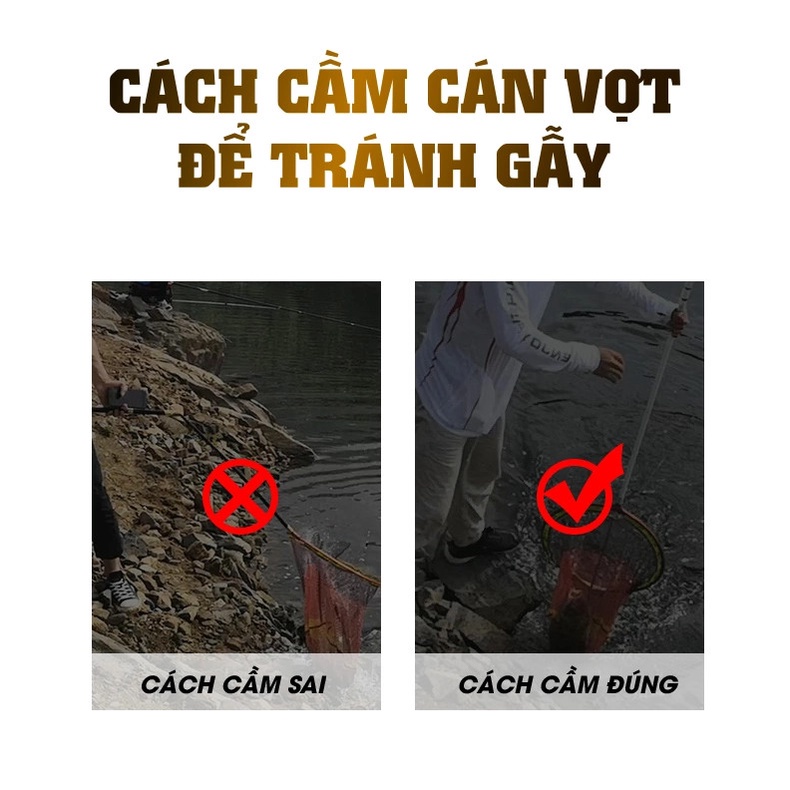 Cán Vợt Vua Câu Hoàng Kim
