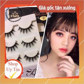 Mi chồn 3d09