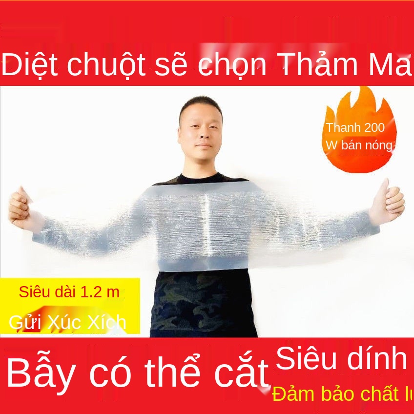 S Bảng chuột dính mạnh mẽ bẫy tạo tác kẻ hủy diệt thảm ma thuật bắt lớn kẹp xua đuổi về nhà một lứa cuối