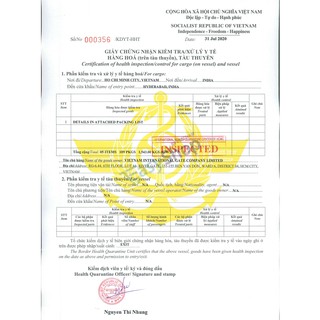 HẠT ĐIỀU VỎ LỤA RANG MUỐI (ĐẶC SẢN BÌNH PHƯỚC) - Hộp 250g