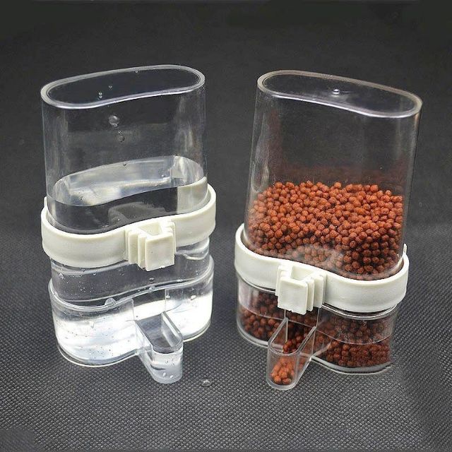2 cóng ăn uống tự động cho chim