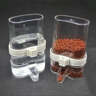 2 cóng ăn uống tự động cho chim