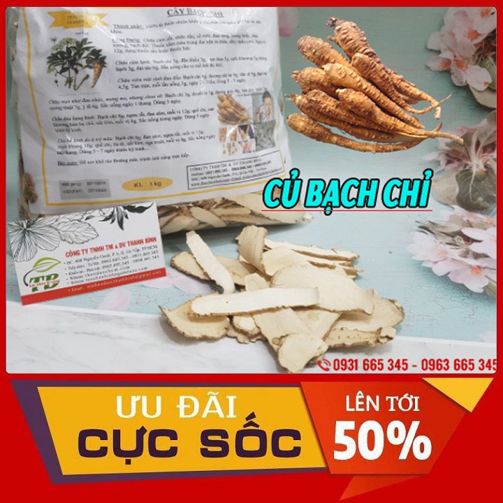 Củ Bạch Chỉ Nguyên Chất 500Gr__Hàng Loại 1 - Lương Y Thanh Bình