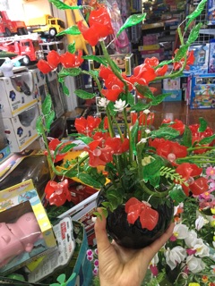 Hoa đá hand made