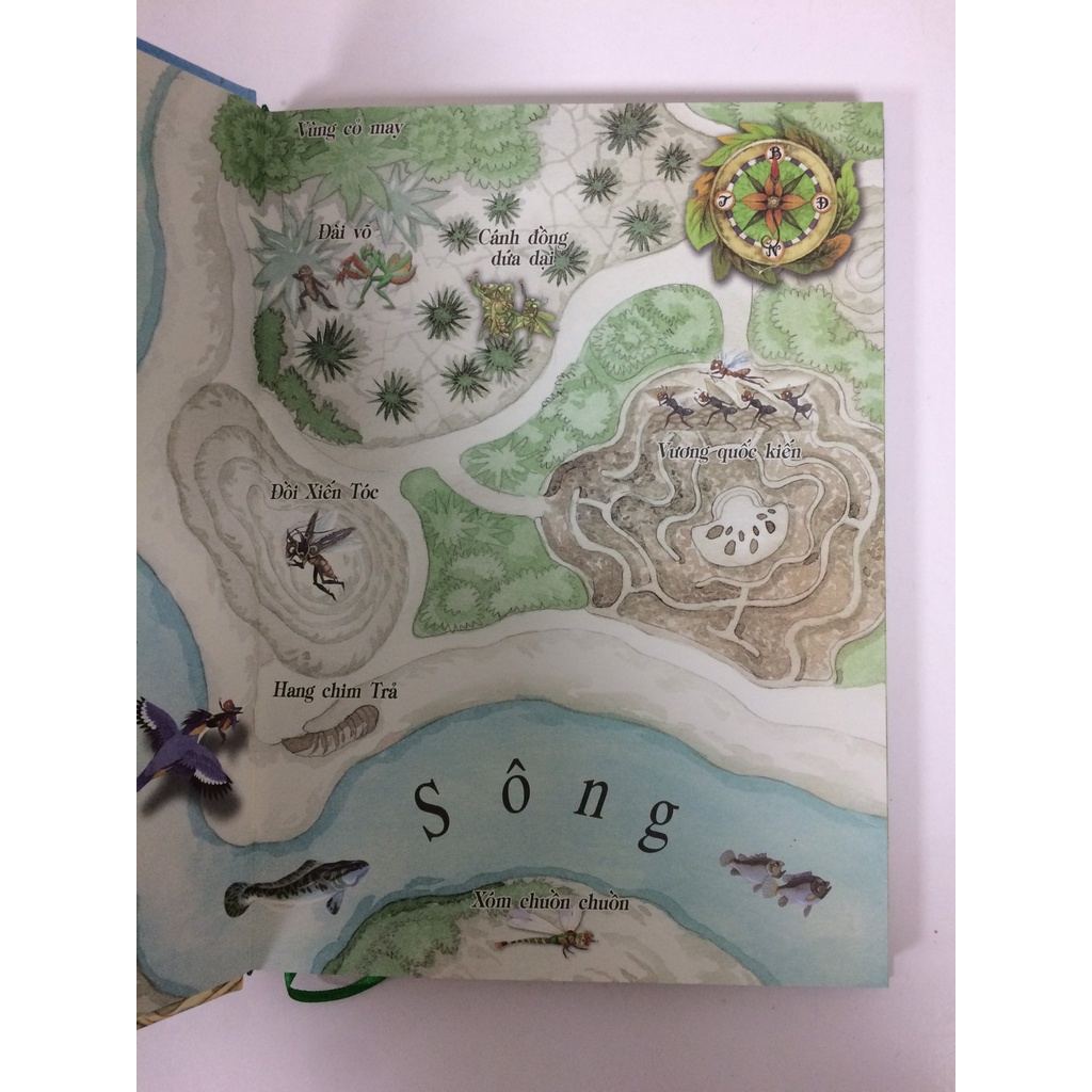 Sách - Dế mèn phiêu lưu ký - Bản minh họa Tạ Huy Long