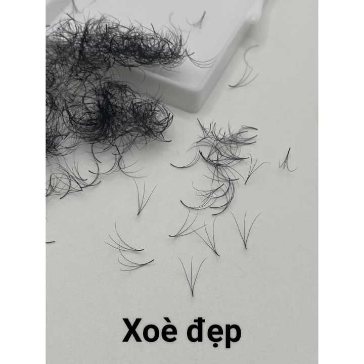 Mi Fan 3D dày 0.07- cong C-CC-D - Hộp 500 Fan - Tổng kho mi giá rẻ nhất thị trường - Dụng cụ nối mi - HUY HOÀNG MI