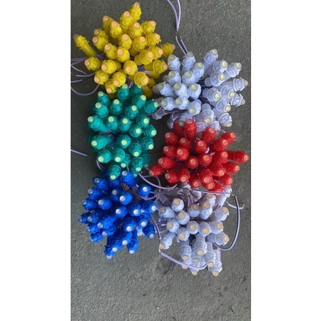 LED đúc F5, Led Hạt đế 9mm chống nước điện áp 12V,trang trí nhà,cuốn cây, sân vườn, trang trí ngoài trời