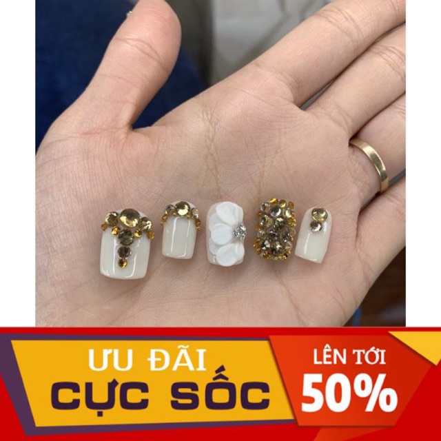 hoa bột nail -6k/1b.
