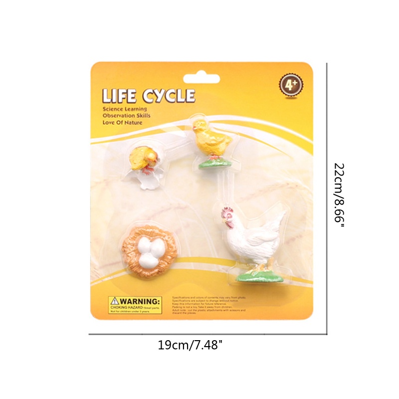 Mô Hình Côn Trùng Bằng Nhựa Đồ Chơi Giáo Dục Cho Bé