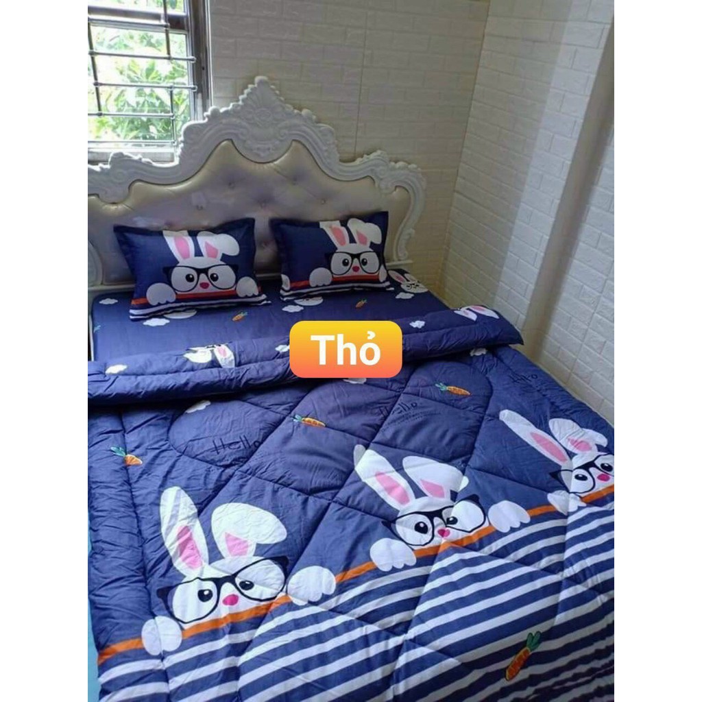 Trọn bộ 5 món chăn phao ga gối cotton poly nhập khẩu Hàn Quốc (gạt trái xem mẫu) size giường 1m8*2m