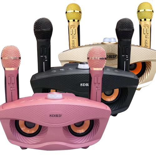 Loa Karaoke không dây cao cấp, Loa kèm 2 mic hát bluetooth công suất 40W Sd 306 plus KLH