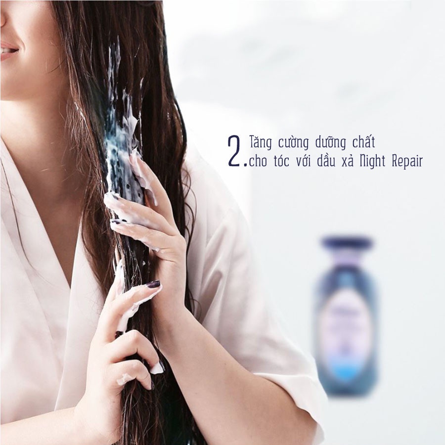 Dầu gội phục hồi chuyên sâu tóc hư tổn Moist Diane Extra Night Repair