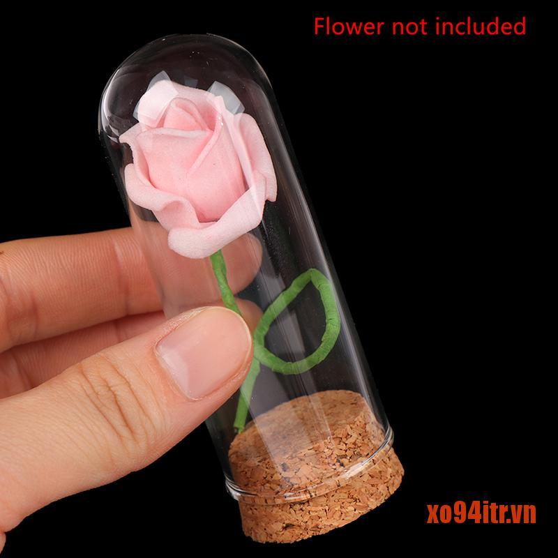 XOITR  1/6 Doll Glass Dome Display Wood Cork Bell Jar With Wooden Base Decoation C